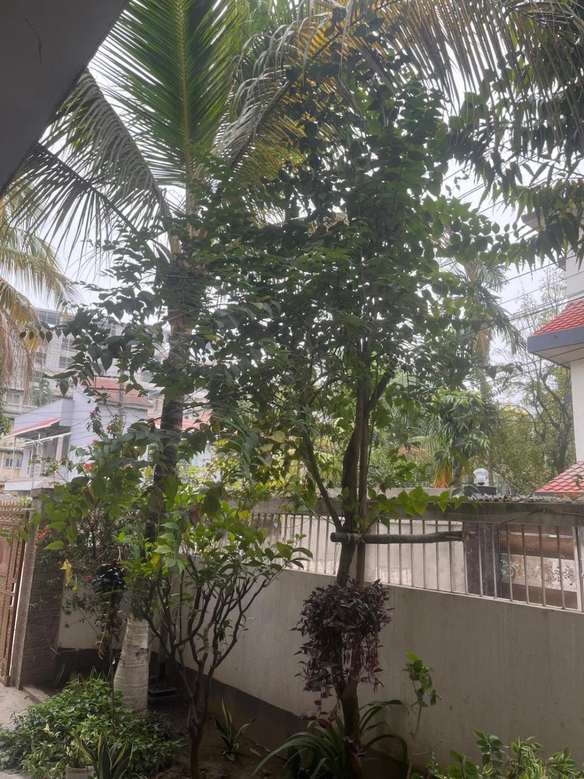 Amazing Homestay Guwahati Exterior foto