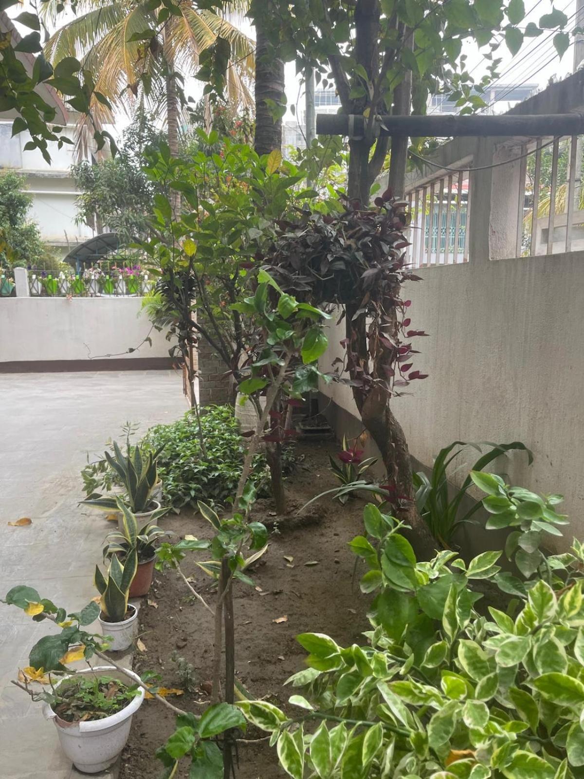 Amazing Homestay Guwahati Exterior foto