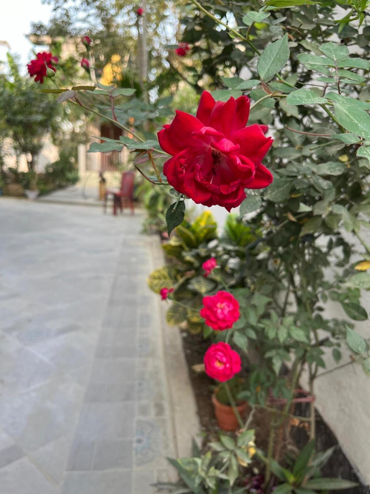 Amazing Homestay Guwahati Exterior foto